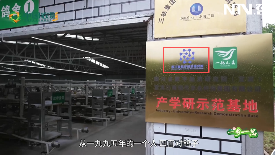 WPS图片(1).png
